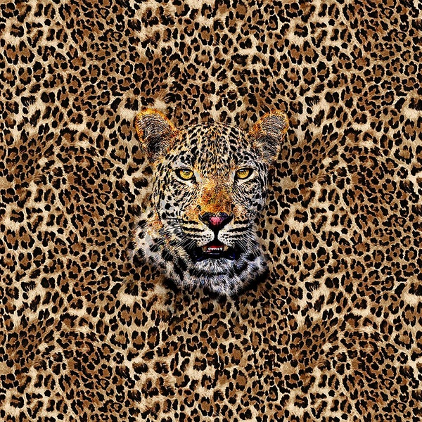 Leoparden-Polsterstoff, wilder Leopardenkopf auf Leopardenfell, Felldruck, Heimdekoration, Wandteppich, Kissen, Stuhl, Möbelstoff