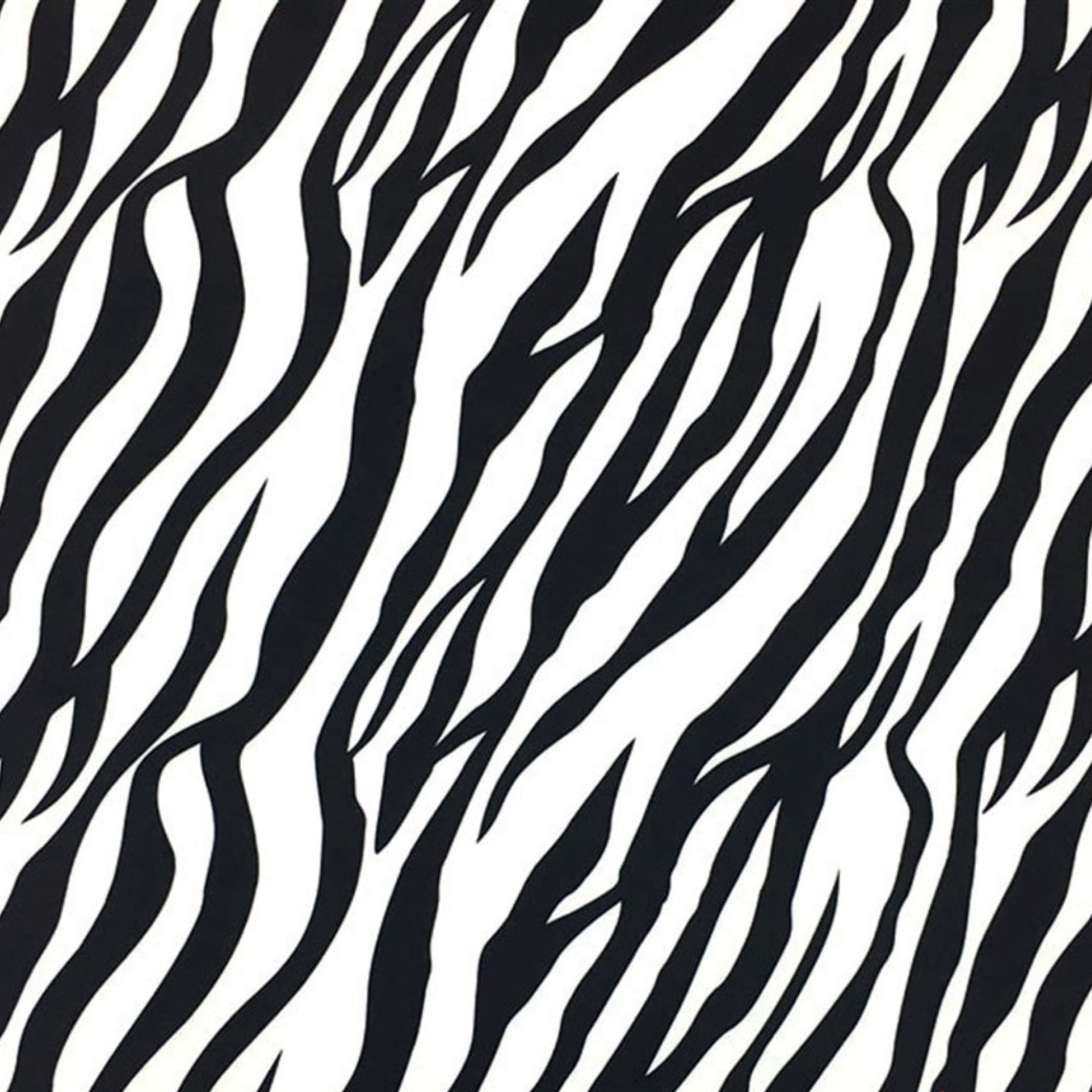 Black And White Zebra Print