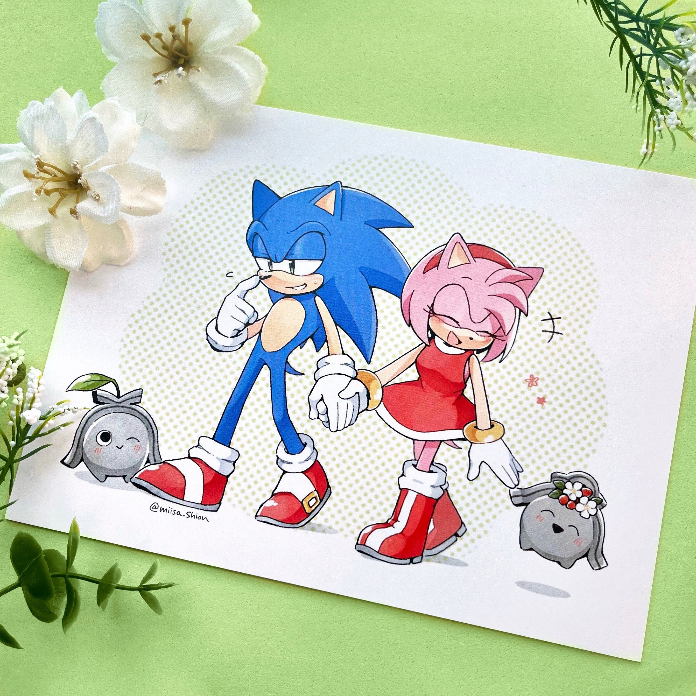 Sonamy  Sonic and shadow, Hedgehog art, Sonic and amy