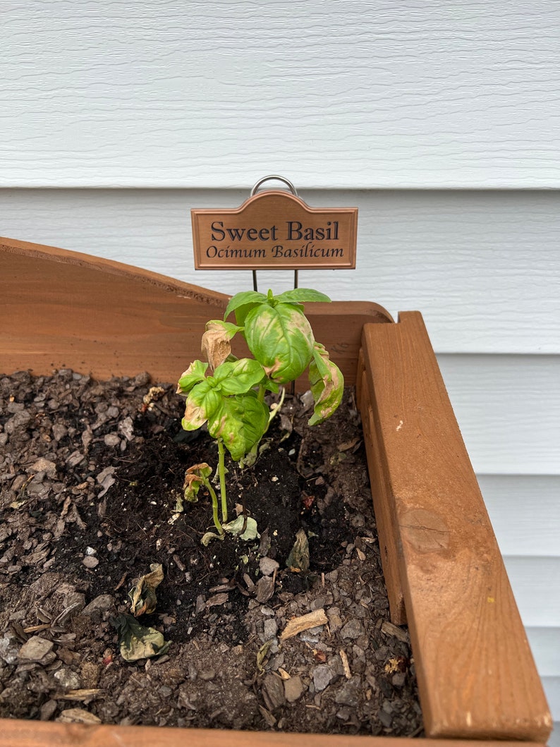 Custom Metal Plant Labels/markers Etsy