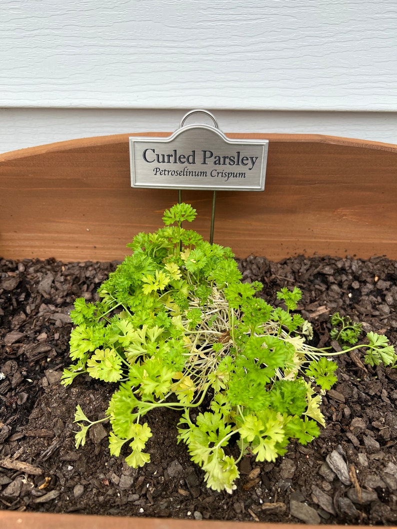 Custom Metal Plant Labels/markers Etsy