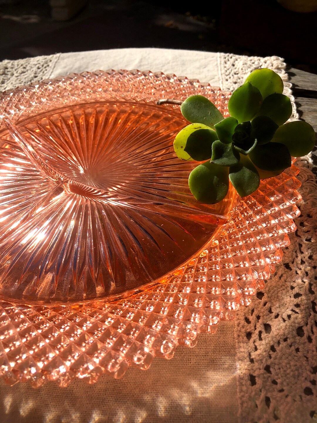 Vintage Pink Divided Dinner Plate, One Miss American Pattern Plate ...