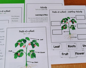 Parts of a plant Printable Mini Unit, Kindergarten Science Curriculum, Preschool Science, Plants Unit Study Homeschool Learning, Nature Unit