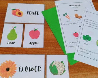 Miniunidad de partes de plantas que comemos, Plan de estudios de ciencias para jardín de infancia, Ciencias preescolares, Unidad de estudio de plantas, Aprendizaje en el hogar, Unidad de naturaleza