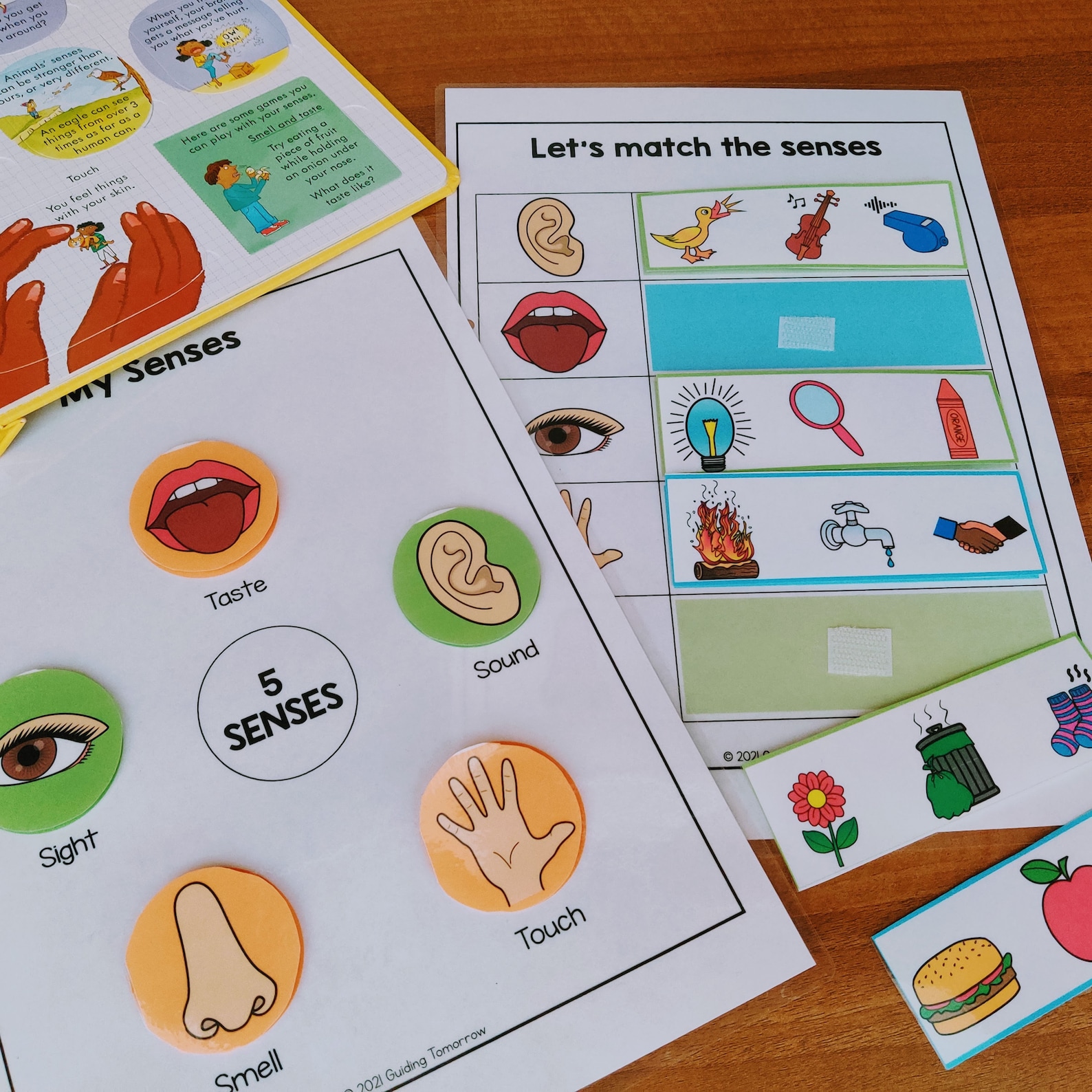 Five Senses Sorting Activity Worksheet Printable 5 Senses Etsy