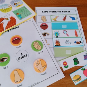Five Senses Sorting Activity Worksheet Printable, 5 Senses Activity Printable, Human Anatomy Busy Book, Toddler Preschool PreK Science