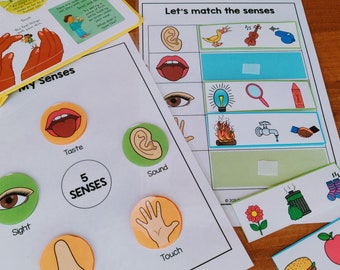 Five Senses Sorting Activity Worksheet Printable, 5 Senses Activity Printable, Human Anatomy Busy Book, Toddler Preschool PreK Science