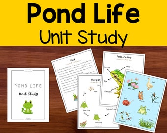 Kindergarten Homeschool Curriculum Pond Life Unit Science Activity First Grade Home School Learning Preschool Lesson Plan Activity for Kids