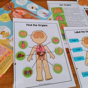 Human Anatomy Printable Busy Book, Anatomy Binder, Kindergarten and Preschool Science, Human Body Parts, Five Senses, Body Organs & Systems