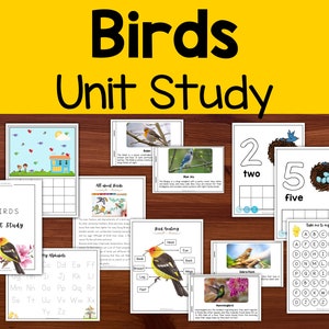 May include: A set of printable educational worksheets for a bird unit study. The worksheets feature colourful illustrations of birds, alphabet practice, number recognition, and a bird anatomy diagram. The text on the worksheets includes "Birds Unit Study", "All About Birds", "Bird Anatomy", "Take me to my home", and "My Alphabet".
