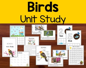Kindergarten curriculum - All about Birds homeschool lesson, Anatomy of a bird unit study, Science learning curriculum for 3 to 8 year olds