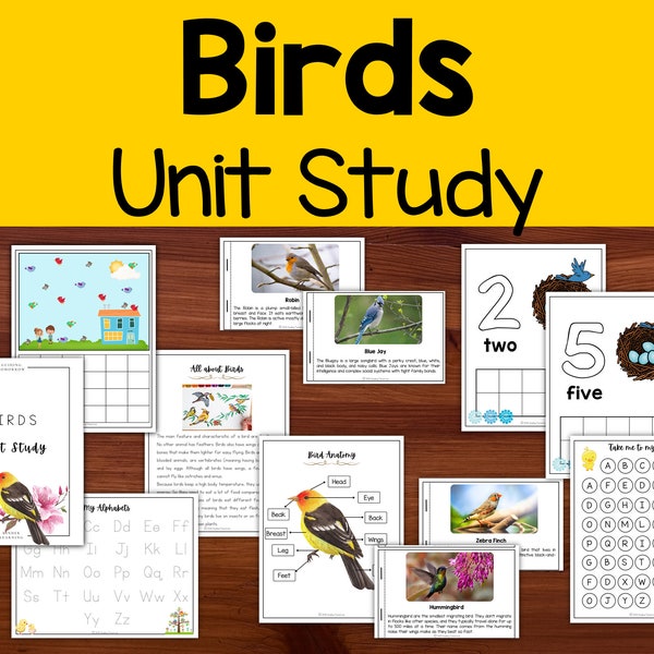 3 Year Old Lesson Plans Etsy