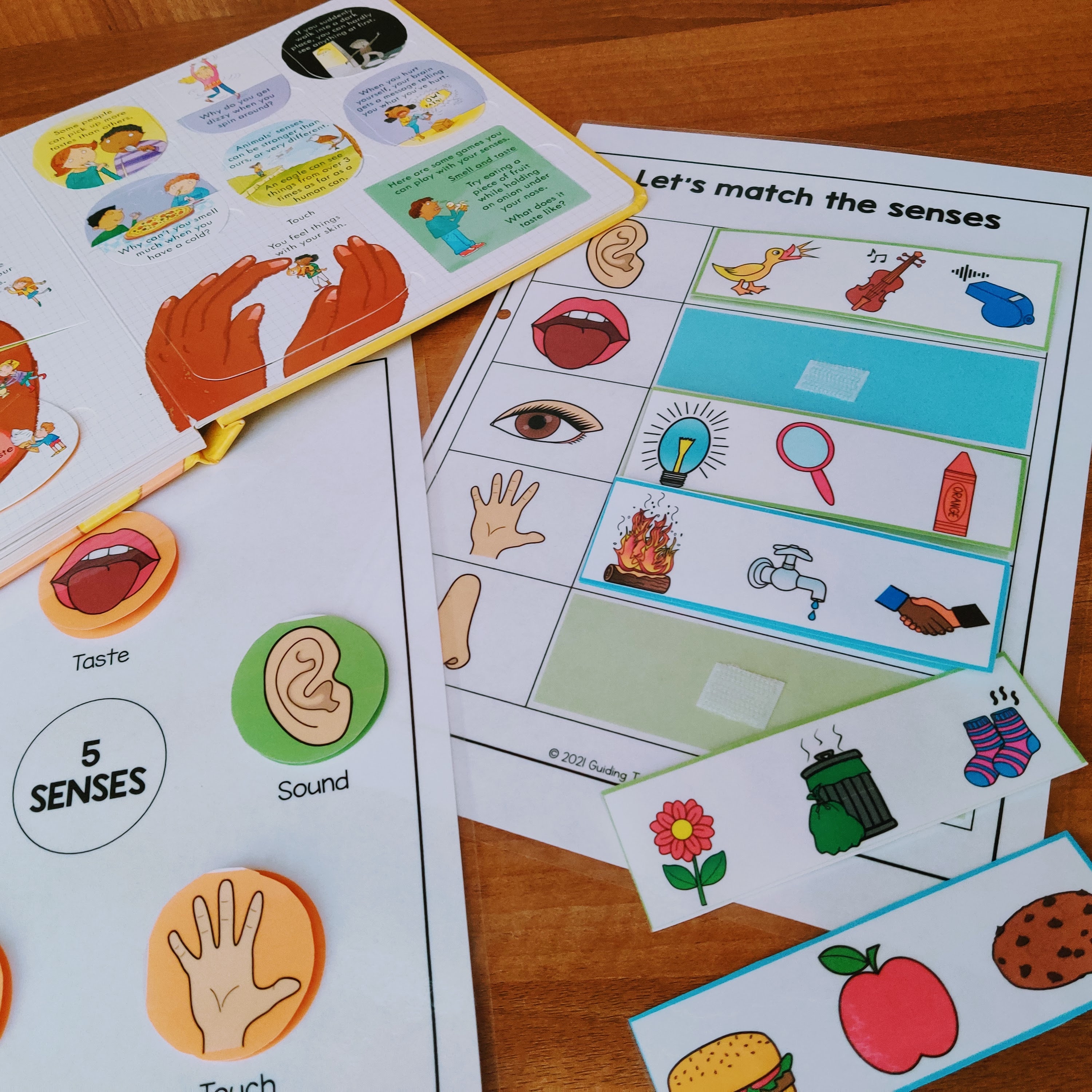 Five Senses Sorting Activity Worksheet Printable 5 Senses - Etsy