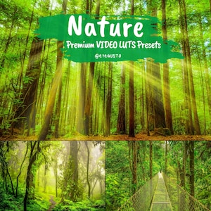 20 Nature LUTS for Video | LUTS Premiere Pro | Video LUTs Final Cut Pro | Cinematic LUTs | Video Presets | Affinity LUTS