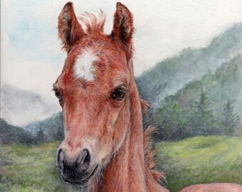 Handpainted Watercolor Foal