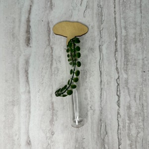 Magnet Propagation Tank - Toadstool