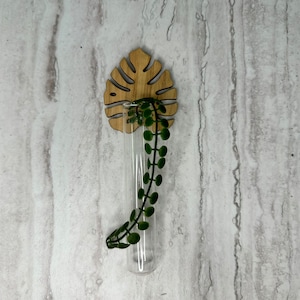 Magnet Propagation Tank - Monstera Leaf