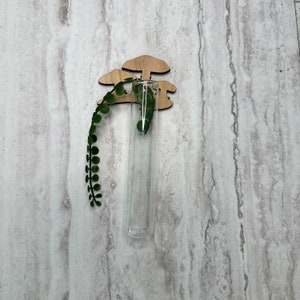 Magnet Propagation Tank - Triple Mushrooms