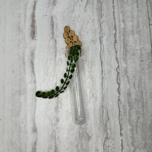 Magnet Propagation Tank - Bubble Leaf