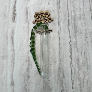 Magnet Propagation Tank - Tree of Life