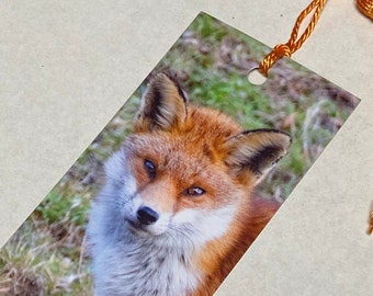 Red Fox Bookmark