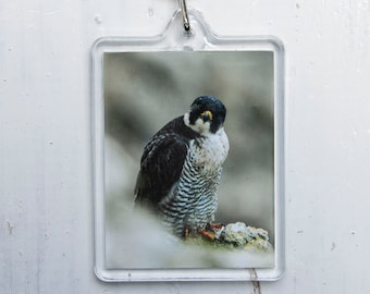 Peregrine Falcon Keyring Bird of Prey Gift Wildlife Lover Keychain