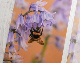 Bumblebee on Bluebell Postcards - Wildlife Nature Postcards