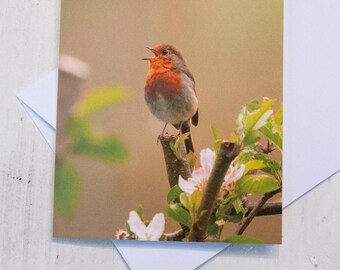 Robin Bird Birthday Greeting Card - Etsy UK