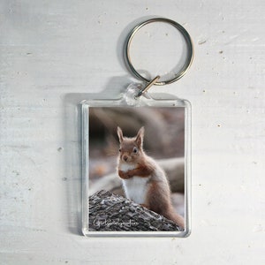 Rode Eekhoorn Sleutelhanger