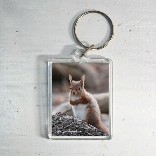 Red Squirrel Keyring