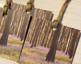 Bluebells Gift Tags