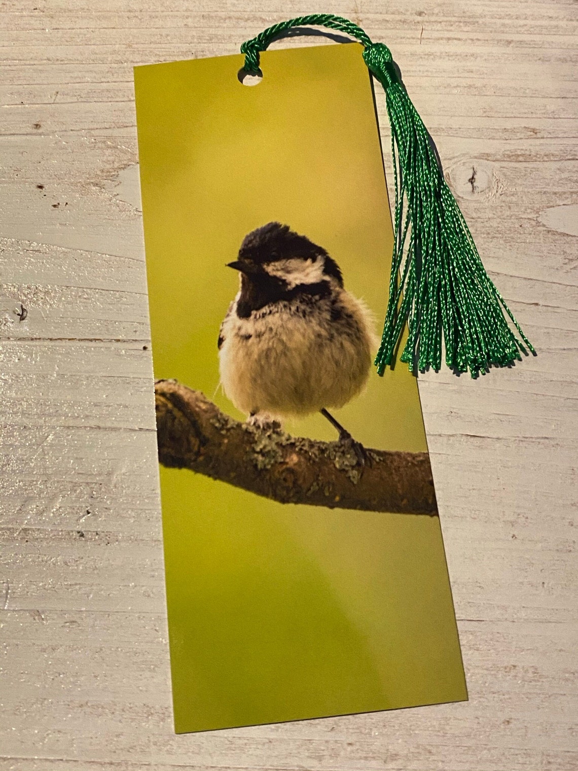 tassel and tit swingers