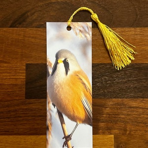 Könnte beinhalten: Rechteckiger Lesezeichen mit detailliertem Bild eines Vogels mit braunen und grauen Federn, der auf einem Ast sitzt. Das Lesezeichen hat eine gelbe Quaste oben befestigt. Der Hintergrund ist ein verschwommenes Bild einer natürlichen Umgebung.