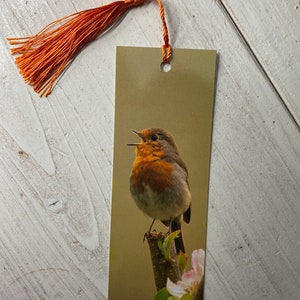 Robin Bookmark