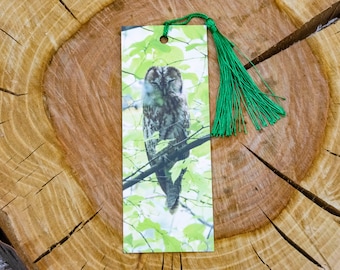 Tawny Owl Bookmark