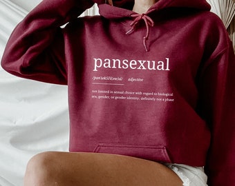 Pansexual Definition Hoodie, Pansexual Hoodie, Transgender Pride Hoodie Gift, Lgbt Pride Hoodie, Lesbian Pride Hoodie, Rainbow Flag Hoodie,