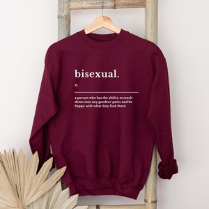 Bisexual Definition Sweatshirt, Bisexual Pride Gift, Bisexual Human Gift, Kindness Bisexual Sweatshirt, Pansexual Sweatshirt, Rainbow Pride