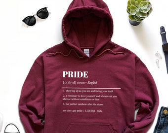 Pride Definition Hoodie, Transgender Pride Hoodie Gift, Lgbt Pride Hoodie, Lesbian Pride Hoodie, Rainbow Flag Hoodie, Lgbt Pride Hoodie