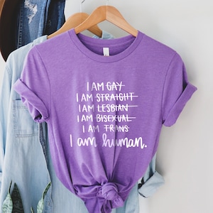 I am Human Shirt, I am Straight Shirt, Lgbt History Shirt, Equality Shirt, Lesbian Gay Gift, Transgender Pride Shirt, Pride Month Shirt