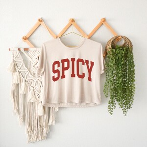 Spicy Crop Top, Sarcastic Sassy Crop Top, Meme Crop Top, Cute Crop Top for Girl, Funny Crop Top, Hot Girl Crop Top, Christmas Gift,