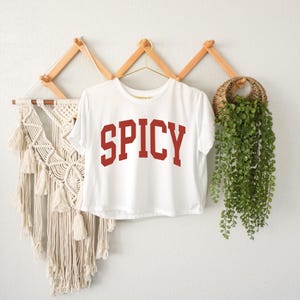 Spicy Crop Top, Sarcastic Sassy Crop Top, Meme Crop Top, Cute Crop Top for Girl, Funny Crop Top, Hot Girl Crop Top, Christmas Gift,