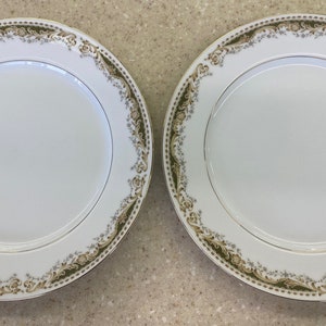 Dinner Plates Queen Anne Signature Collection China Vintage (set of 2)