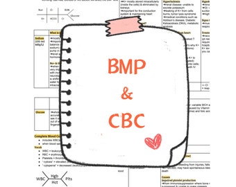 Basic Metabolic Panel & Complete Blood Count