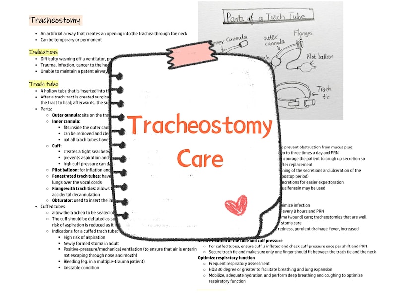 Tracheostomy Care Trach Tube Nursing Note Study Guide Etsy