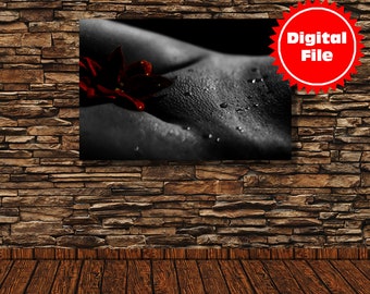 DIGITAL Flower and Skin, Fine Art Fotografie, Schwarzweiß, Akt, Erotik, Black and White, Photography, Wandbild, Poster - Größe 45 x 30 cm