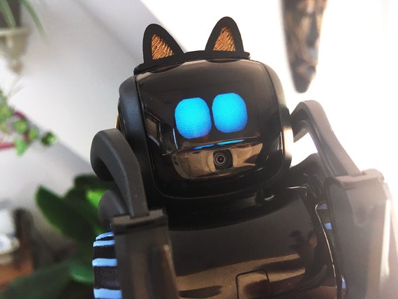 anki vector robot romania