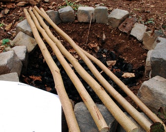 5 bastoncini di nocciolo per pane in cassetta, per bricolage o per hobby - nocciola, nocciola, legno naturale - non trattato - da intagliare da soli - circa 1 m di lunghezza