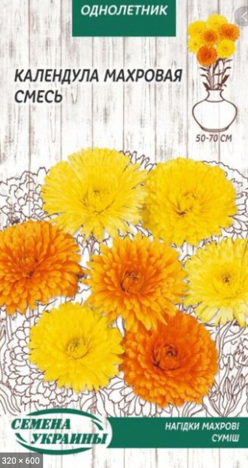 Calendula Mix Flower Seeds from Ukraine Calendula Mix Flower Seeds from Ukraine