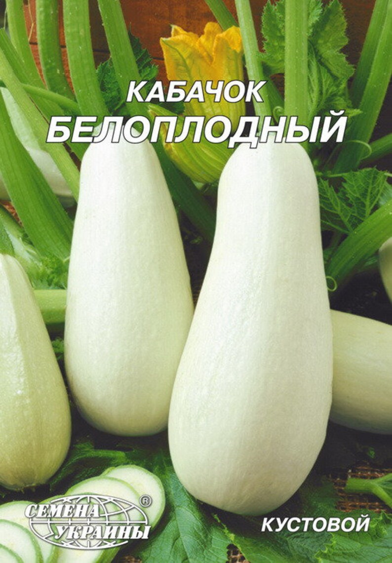 Giant Zucchini Heirloom Seeds From Ukraine Rare Original Vegetable Squash White Seeds Beloplodniy