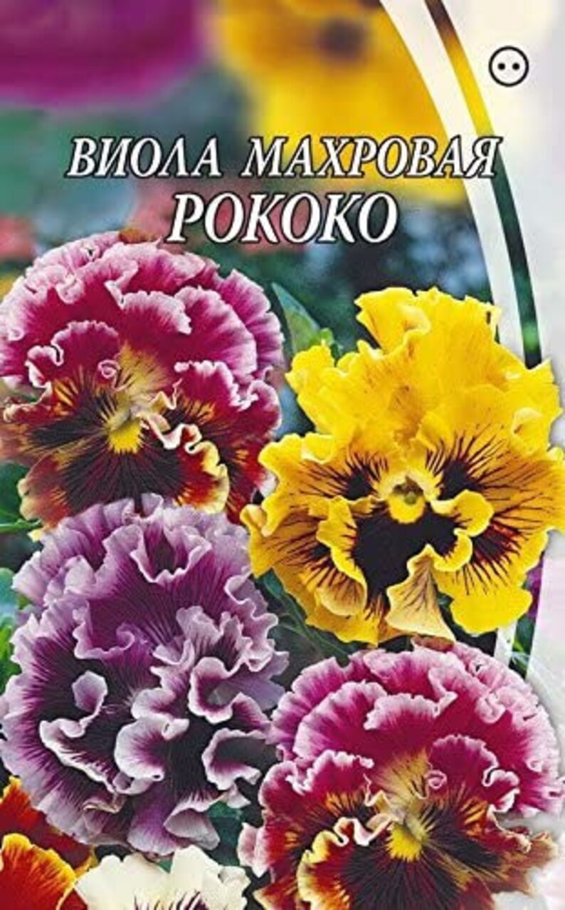 Flower Seeds Pansy Giant Viola Terry Rococo MIX Etsy